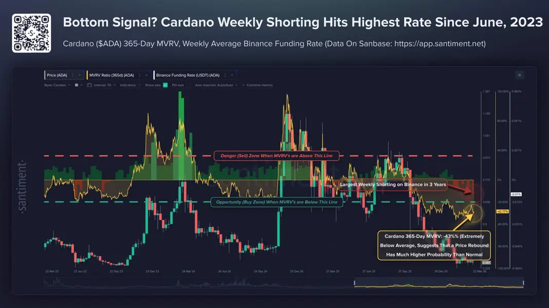 Объем шортов по Cardano (ADA) достиг максимума с июня 2023 года на фоне 71% обвала и рисков запуска Midnight