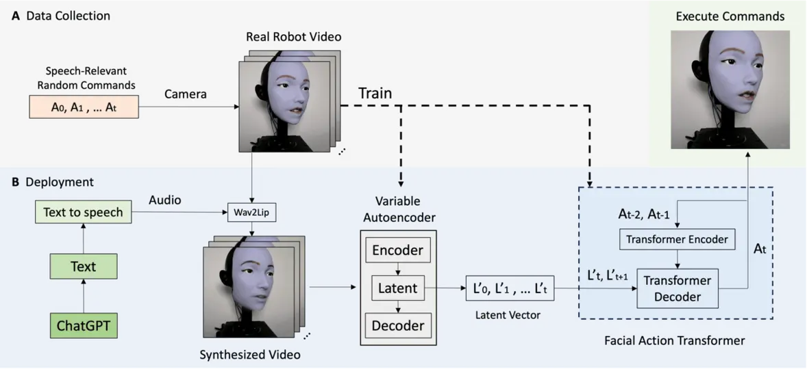 Исследование биомиметического робота-лица попало на обложку Science Robotics: достигнута точная синхронизация губ под управлением ИИ