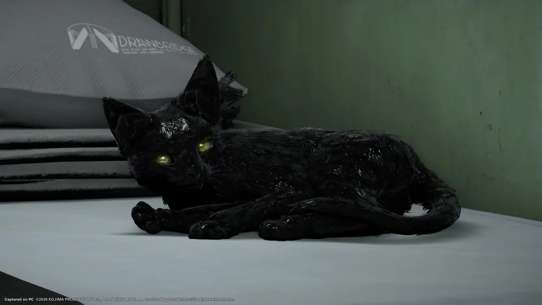 Death Stranding 2: On the Beach на PC получит трассировку лучей для &laquo;визуальной точности выше настройки Very High&raquo; и&hellip; хирального кота