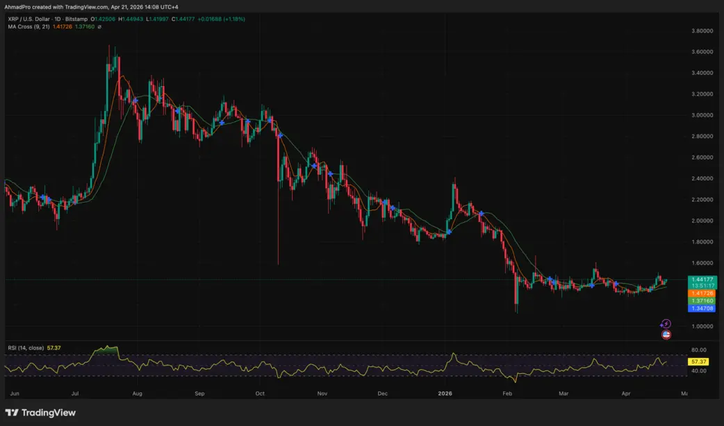 Ripple перевела 100 миллионов долларов в XRP «on-chain», а резервы бирж подают «bearish» сигнал: кто выйдет победителем?