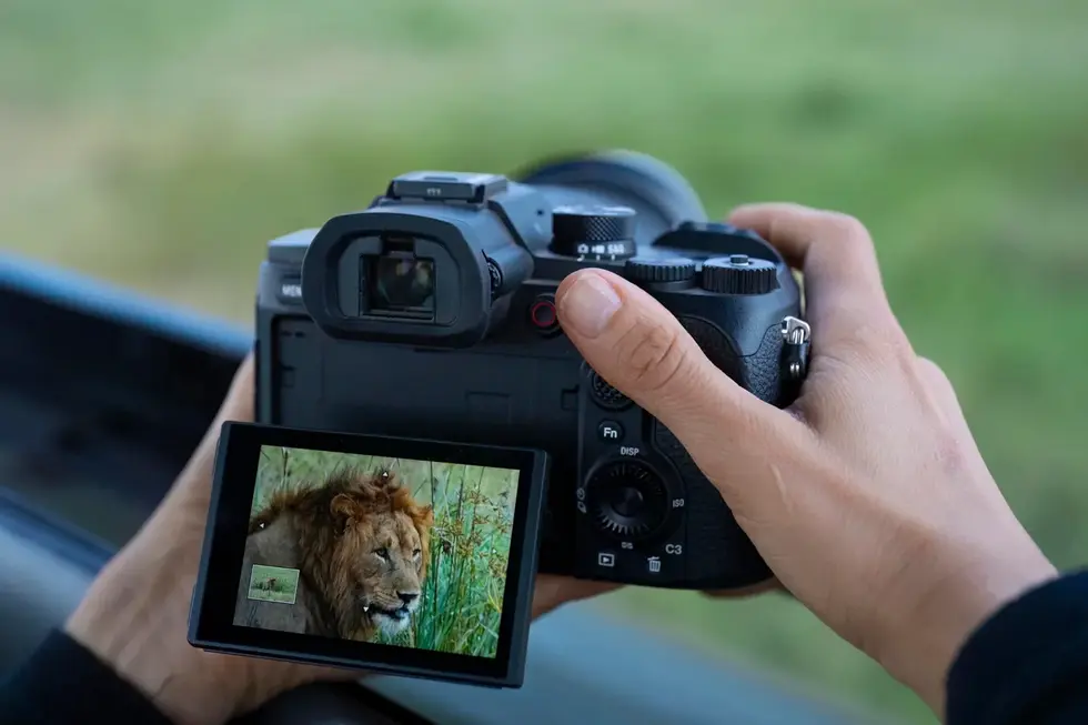 Главное &mdash; не используйте &laquo;суперзум&raquo; в Sony RX10 V для всяких жутких дел, договорились?