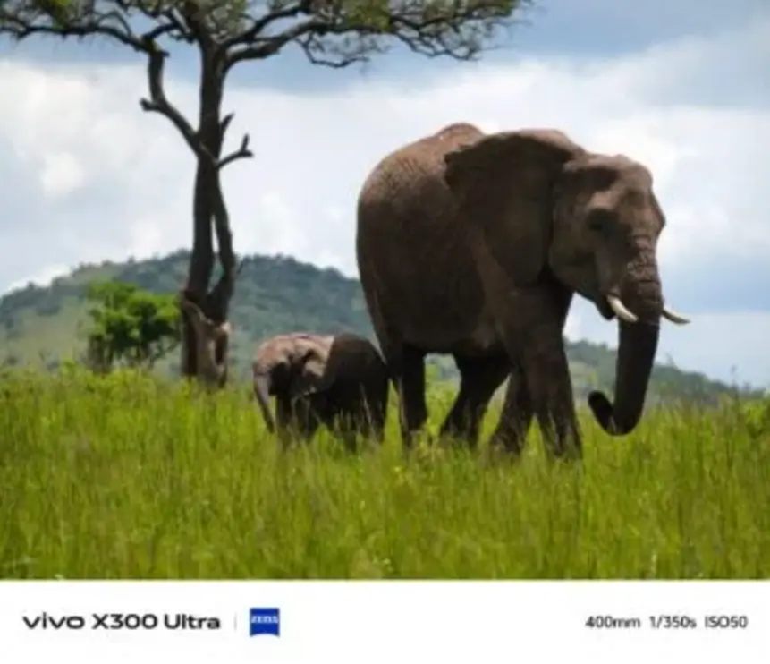 Первые примеры фото на Vivo X300 Ultra поражают детализацией и динамическим диапазоном