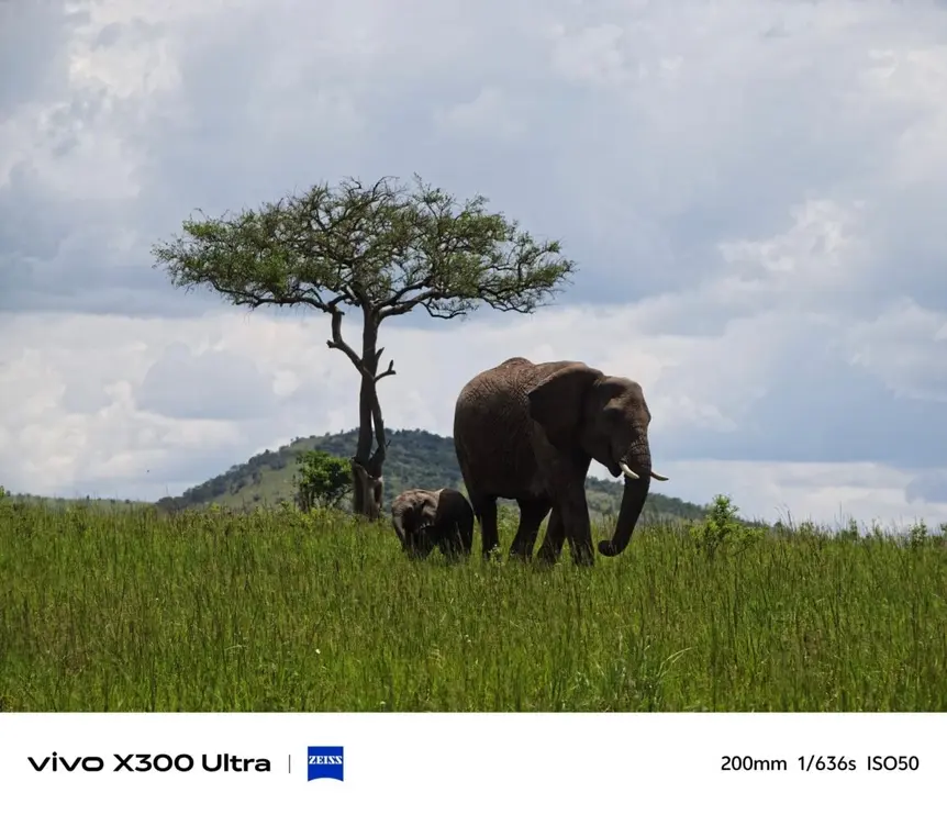 Первые примеры фото на Vivo X300 Ultra поражают детализацией и динамическим диапазоном