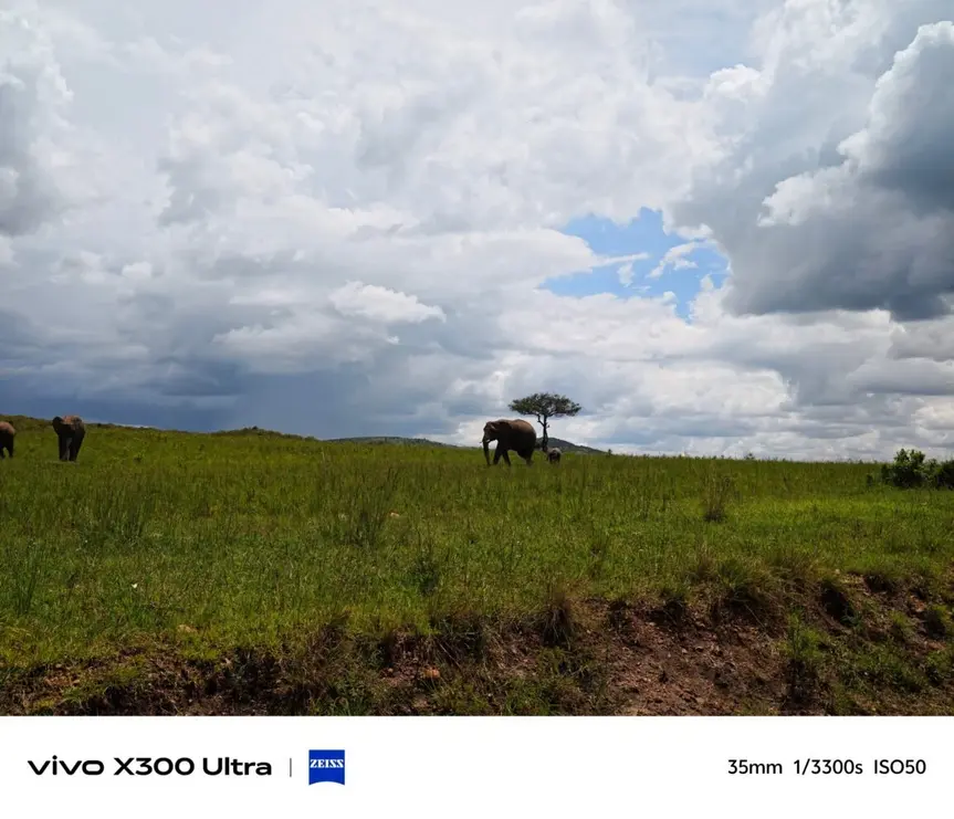 Первые примеры фото на Vivo X300 Ultra поражают детализацией и динамическим диапазоном