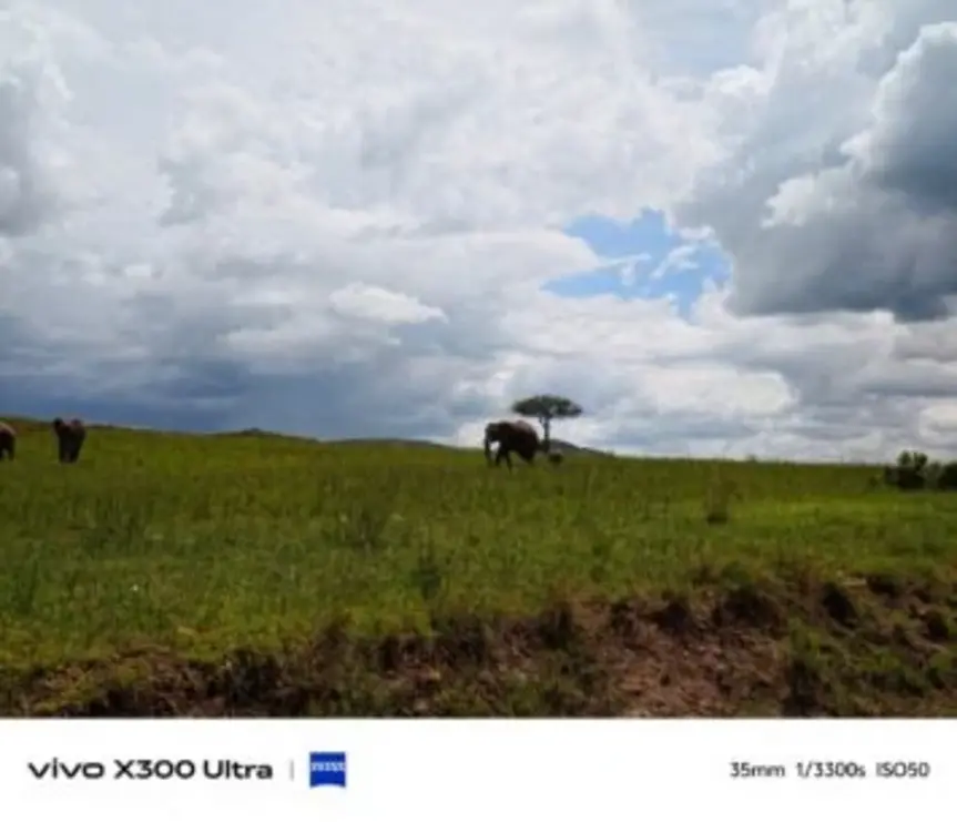 Первые примеры фото на Vivo X300 Ultra поражают детализацией и динамическим диапазоном
