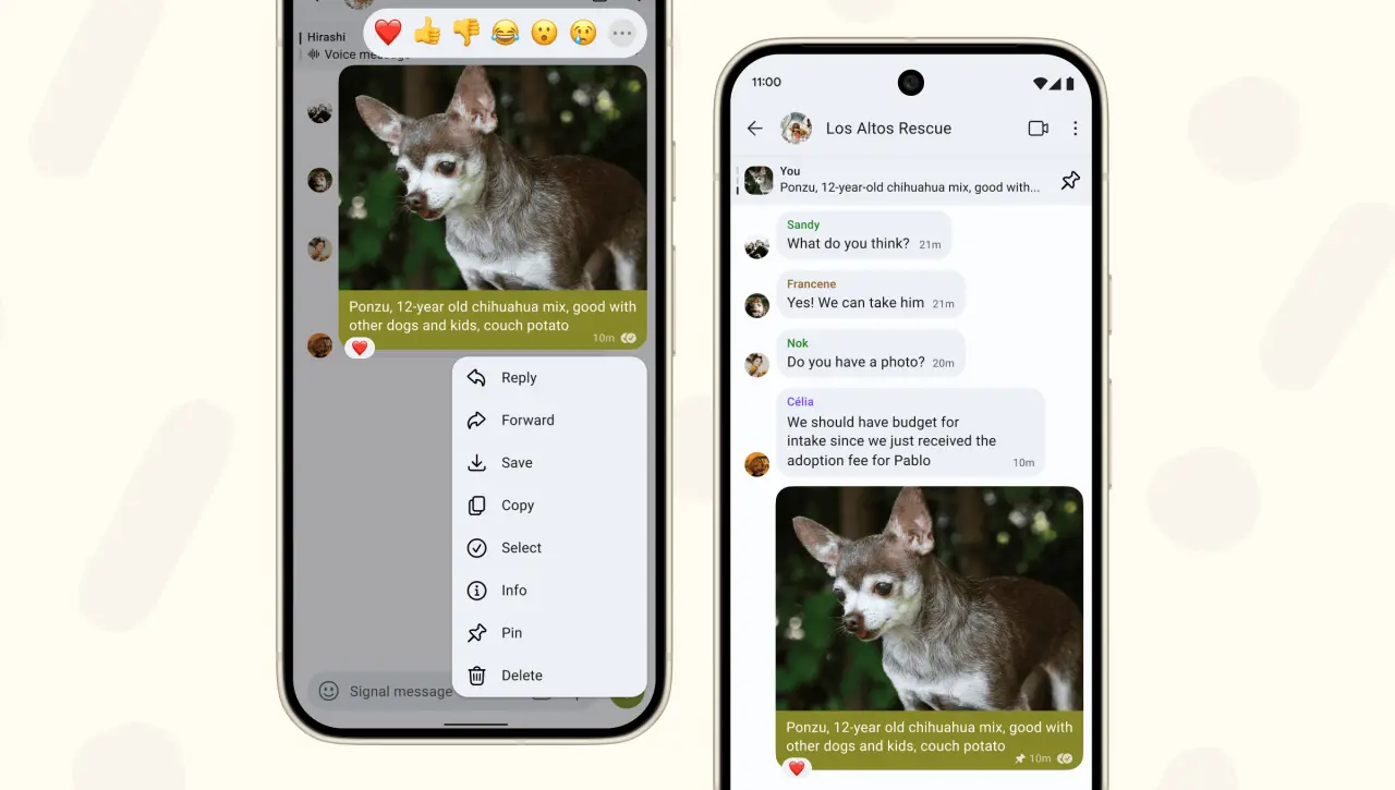 Теперь вы можете закреплять сообщения вверху в Signal Messenger