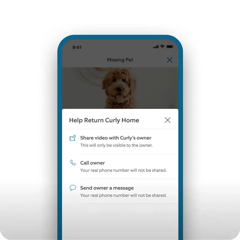 Основатель Ring рассказывает об эре &laquo;интеллектуального помощника&raquo; в компании, производящей камеры.