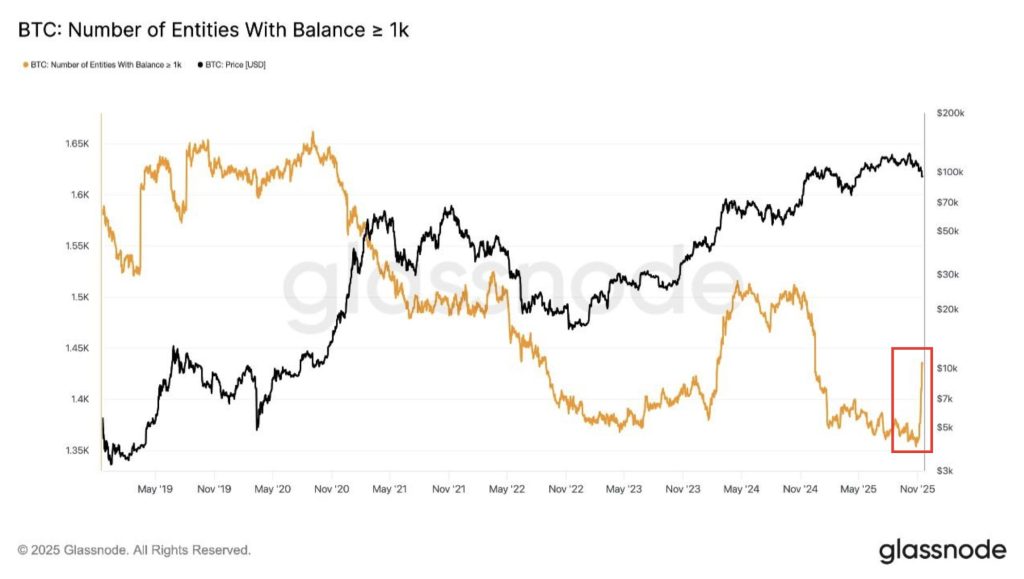 Крупные переводы китов давят на цену биткоина. Упадёт ли она?