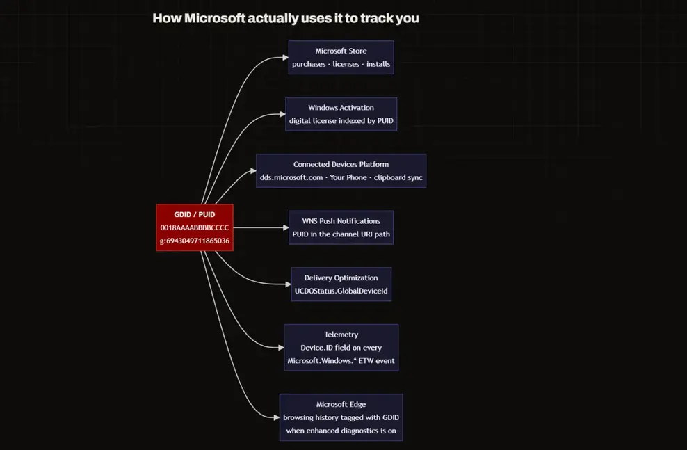 Microsoft отслеживает каждый ПК с Windows по секретному ключу: всё, что нужно знать