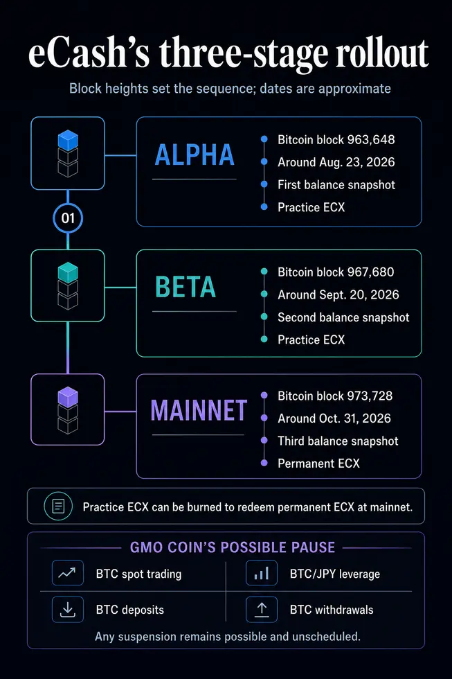 Держатели Bitcoin рискуют заморозкой бирж: новая цепь проверяет 'replay safety' и устойчивость рынка
