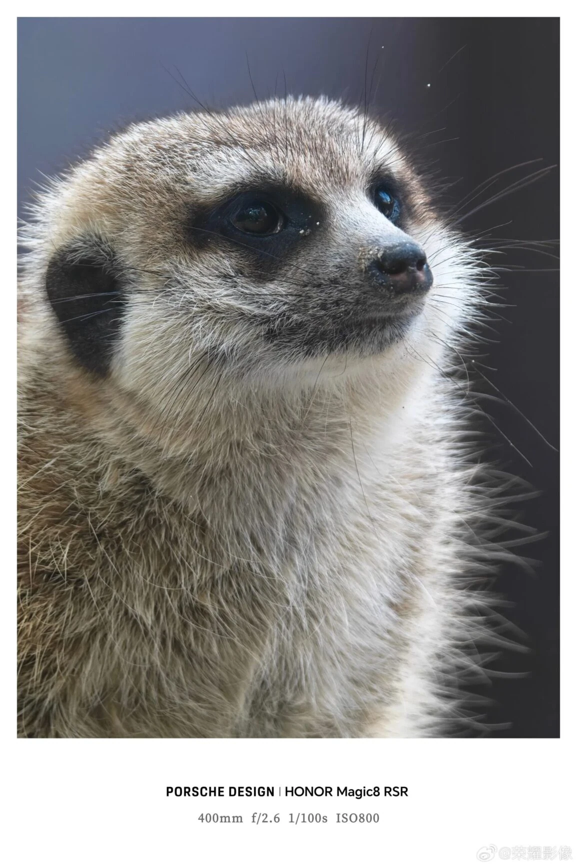 Раскрыты подробности профессионального набора аксессуаров для камеры HONOR Magic8 RSR Porsche Design