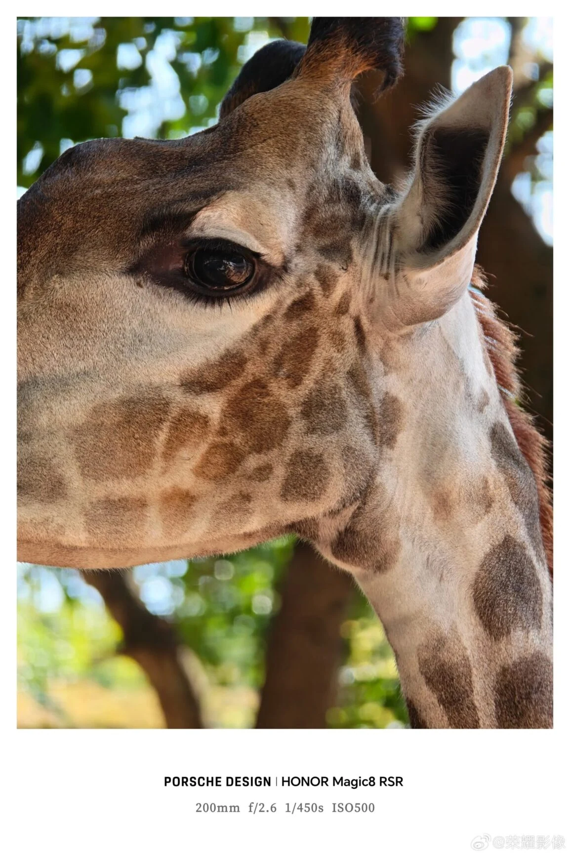 Раскрыты подробности профессионального набора аксессуаров для камеры HONOR Magic8 RSR Porsche Design