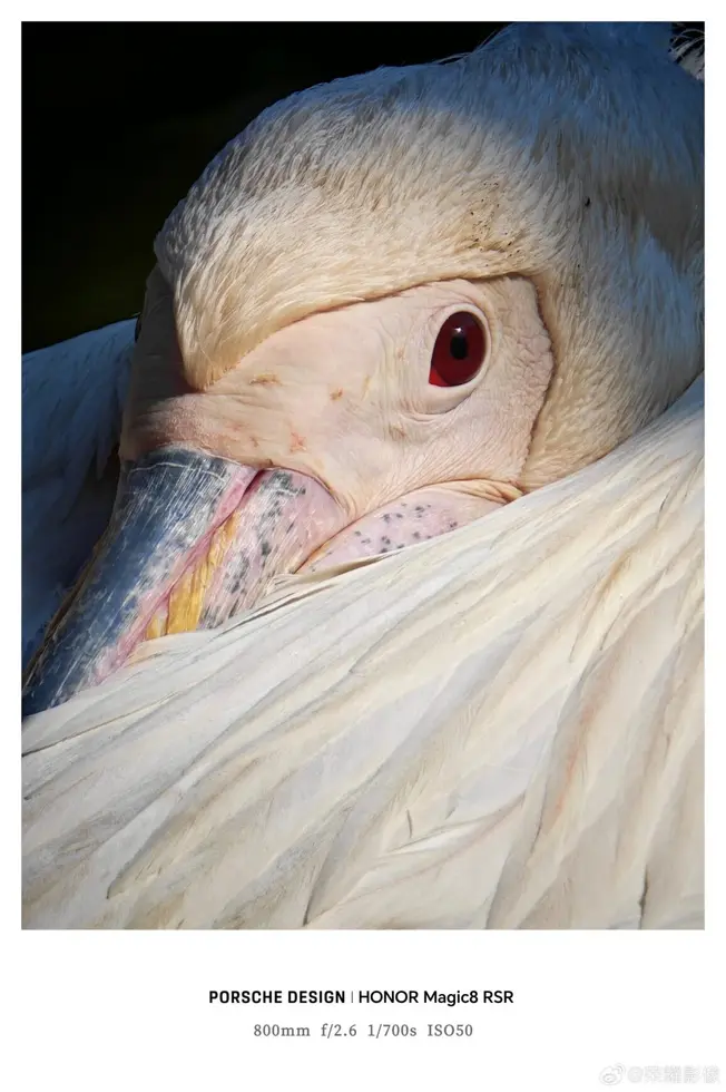 Раскрыты подробности профессионального набора аксессуаров для камеры HONOR Magic8 RSR Porsche Design