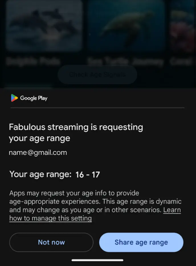 Google начинает глобальное внедрение &laquo;API&raquo; проверки возраста в Google Play
