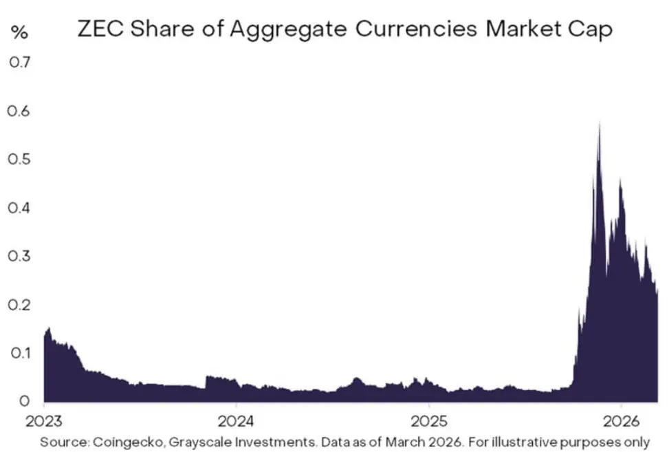 Zcash взлетел на 40% &mdash; ралли 