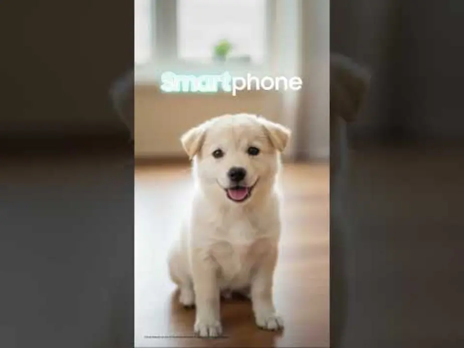 Galaxy S26 позволит мгновенно превращать ваши фото в стикеры