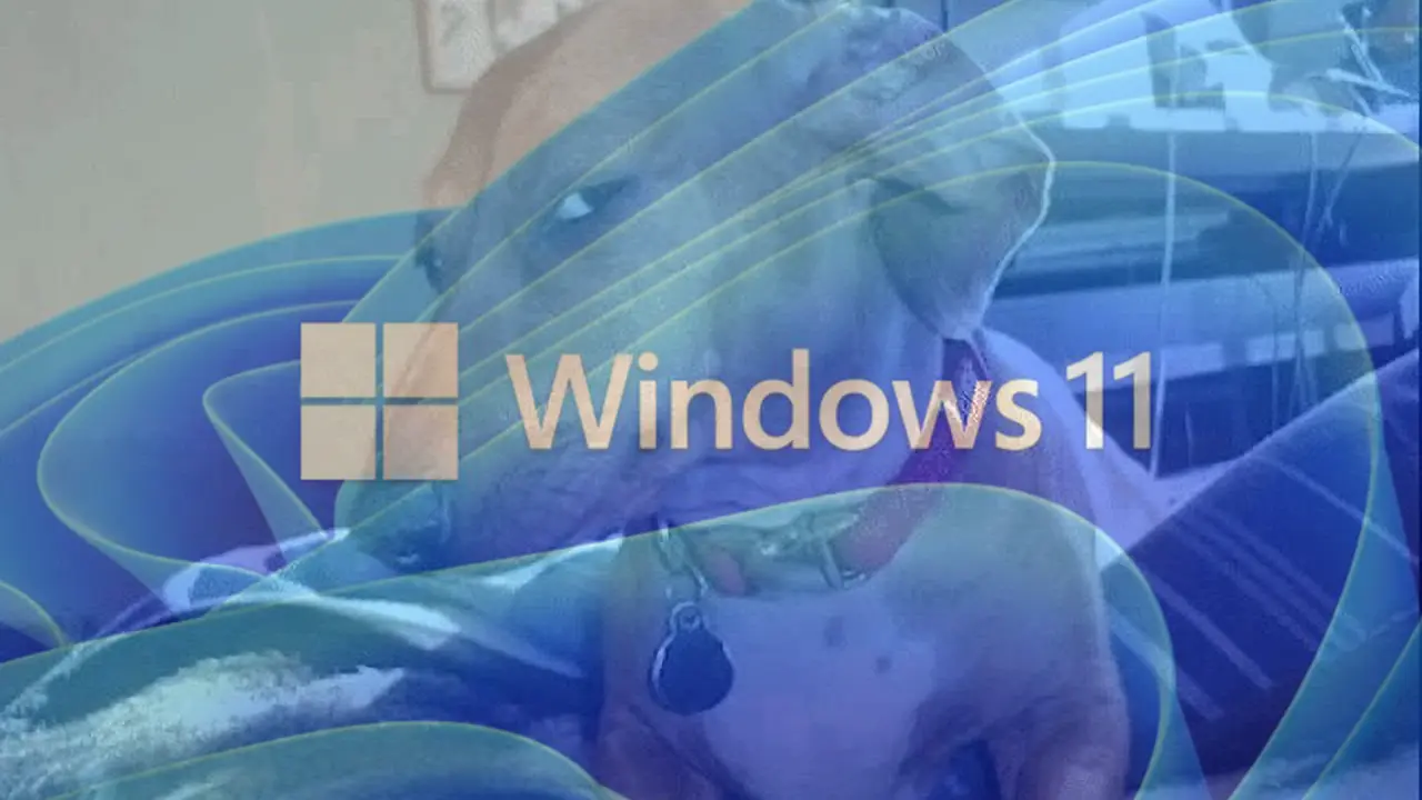 Мне ненавистно, что Microsoft может вибекодить Windows, но это неизбежно.