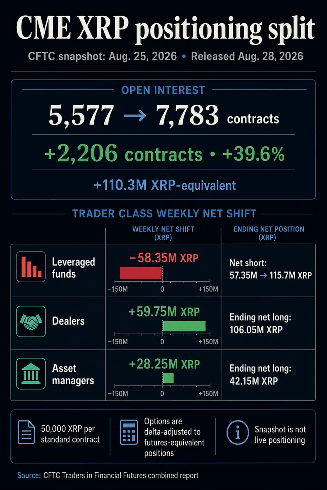 &laquo;XRP&raquo;: следующее ралли может поставить под удар короткую позицию на 115 миллионов токенов