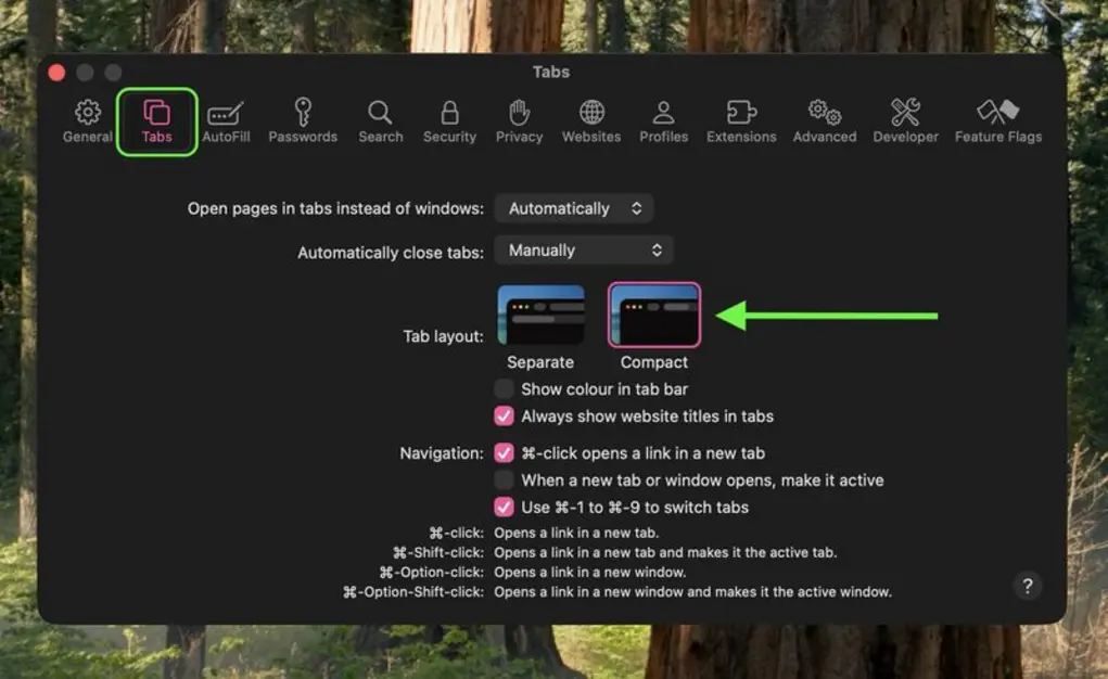 Компактная панель вкладок Safari снова доступна на Mac и iPad